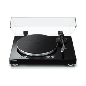 Yamaha TT N503